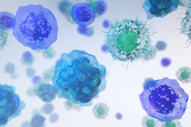 PBMC immune cells illustration
